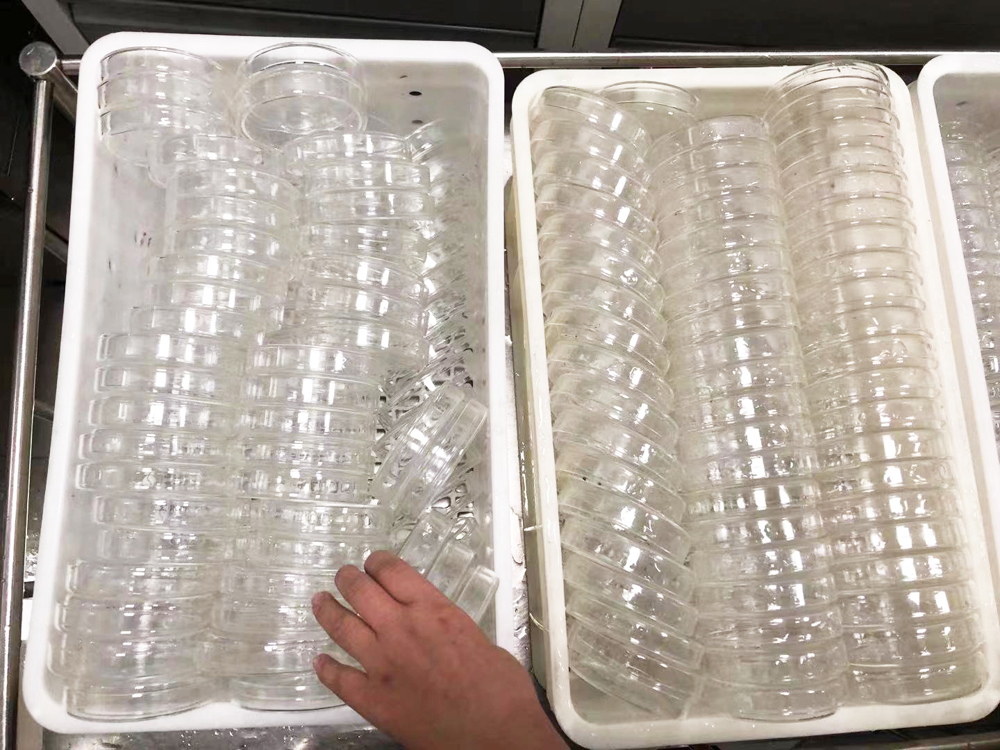 1645773361854165.jpg 3.jpg