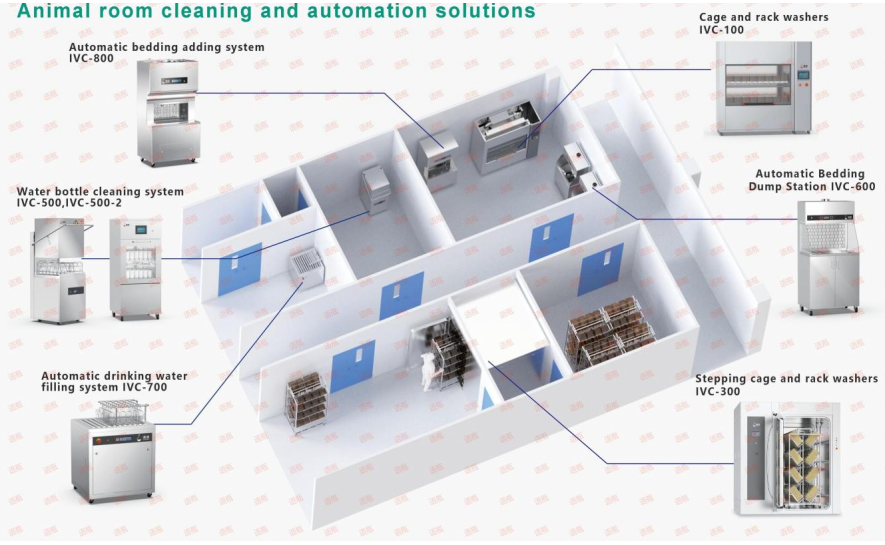 1742988436937814.jpg 1.jpg