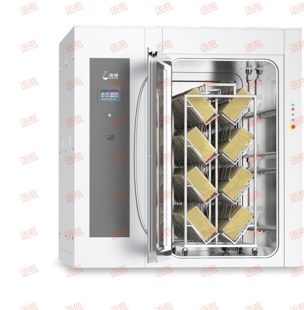 1743644430803063.jpg 5.jpg